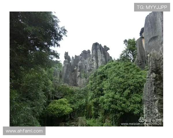 上海羽毛球队逆袭之旅：从低谷到巅峰的杯赛传奇故事