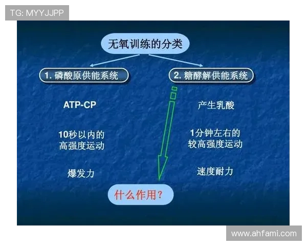上海羽毛球队的训练节奏与战术解析深度探讨