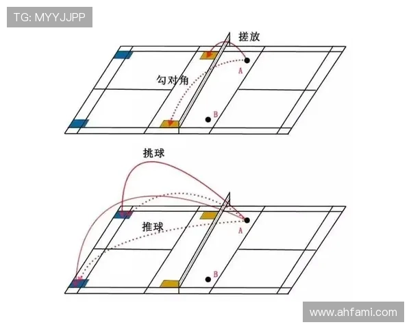 上海羽毛球队在奥运会上的战术表现分析与点评